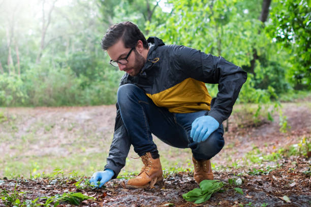A man collecting specimens in nature stock photo