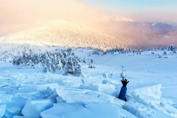bir adam bir kar çığ ile kaplı - avalanche stok fotoğraflar ve resimler