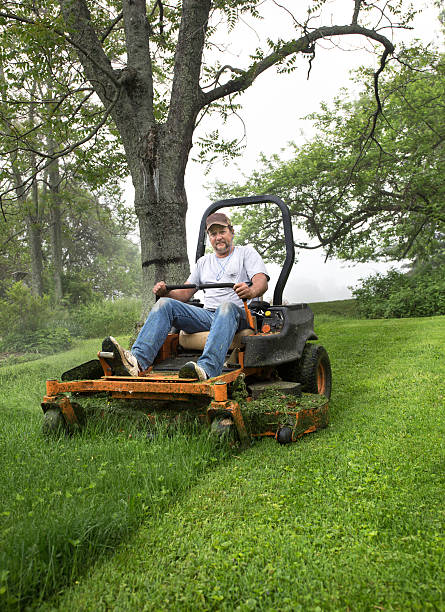 Man cutting grass on a riding lawnmower stock photo