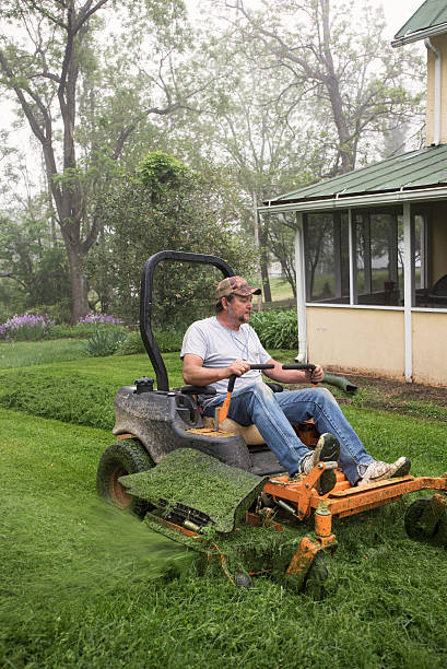 Man cutting grass on lawnmower stock photo