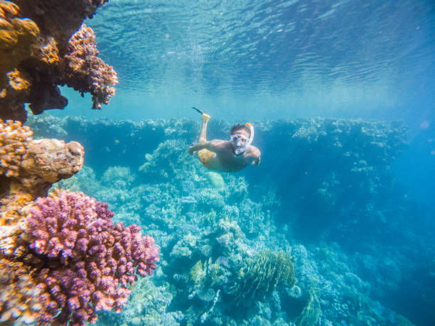 Man dives in tropical sea, underwater shot stock photo