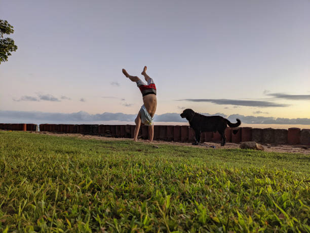 Man does Handstand at beach park next to black dog during dusk stock photo