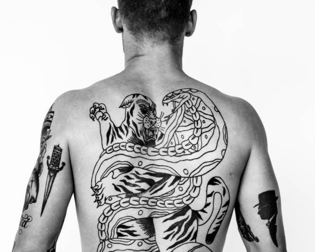 Männer rücken tattoo Phönix Tattoo