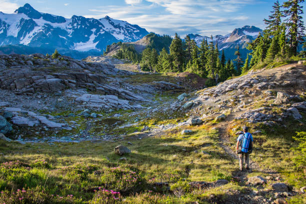 Man hiker walks on mountain trail Hiker walking in a trail in Mount Baker area. cascade range stock pictures, royalty-free photos & images