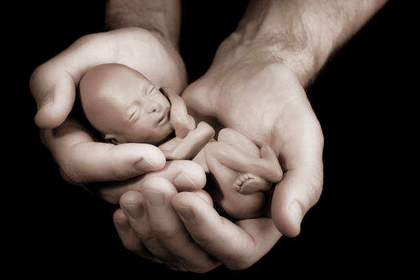 https www istockphoto com nl fotos abortus