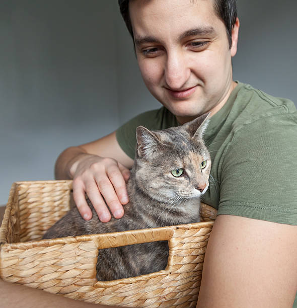 Caring man rescuing a tortoiseshell-tabby cat and holding her in a box