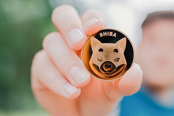 Shiba Inu coins