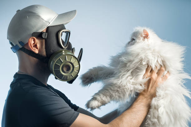 A man in a gas mask holds a cat. The man is allergic to pets. stock photo