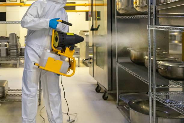 man in protective equipment disinfects with a spray gun industrial kitchen surfaces due to coronavirus covid-19 .Virus pandemic  disinfection stock pictures, royalty-free photos & images