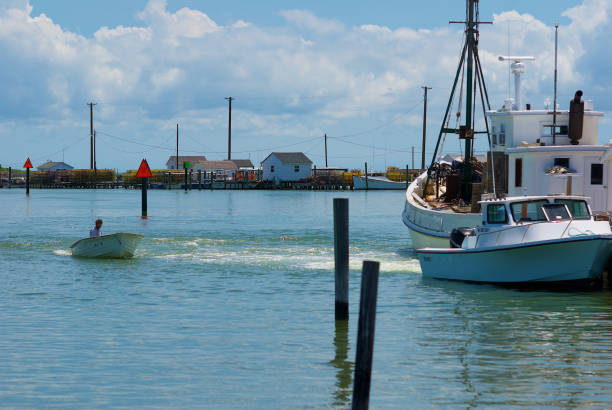 Man in Skiff, Tangier Island, Virginia Tangier Island, Virginia / USA - June 21, 2020: A man in a skiff approaches other fishing boats in this popular tourist destination in the Chesapeake Bay. tangier island stock pictures, royalty-free photos & images