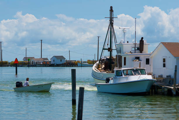 Man in Skiff, Tangier Island, Virginia Tangier Island, Virginia / USA - June 21, 2020: A man in a skiff approaches other fishing boats in this popular tourist destination in the Chesapeake Bay. tangier island stock pictures, royalty-free photos & images