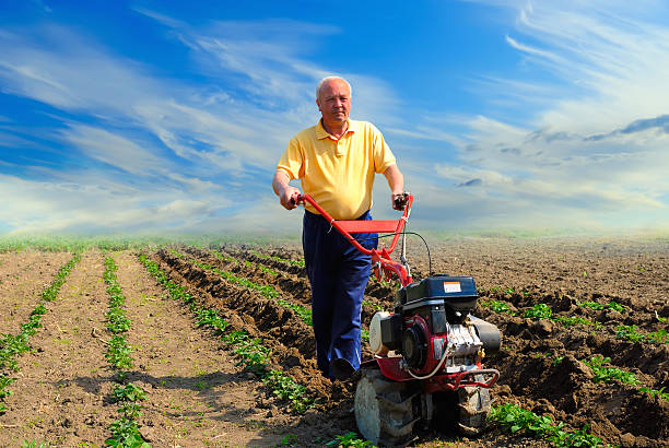 Man in the field with motor cultivator stock photo