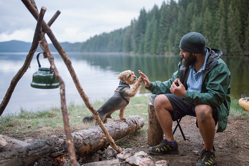 Man and his terrier dog are giving each other high five while their autumn camping vacation