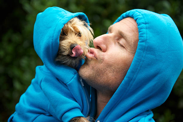 Man Kissing Best Friend Dog Matching Blue Hoodies at Park Man kisses his best friend dog in matching blue hoodies in bright green park background outdoors yorkie haircuts stock pictures, royalty-free photos & images