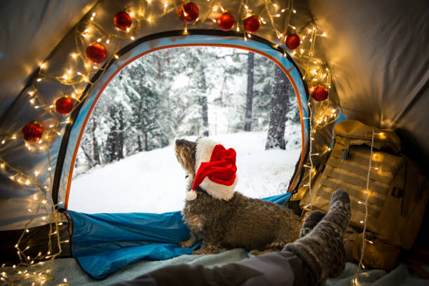 A man lying in a tent decorated with Christmas lights stock photo