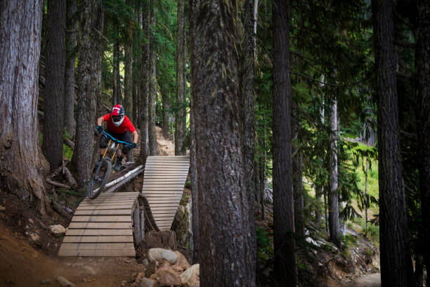 Man mountain biking in Whistler bike park. stock photo