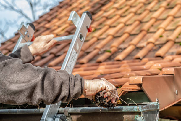 2,301 Gutter Cleaning Stock Photos, Pictures & Royalty-Free Images - iStock