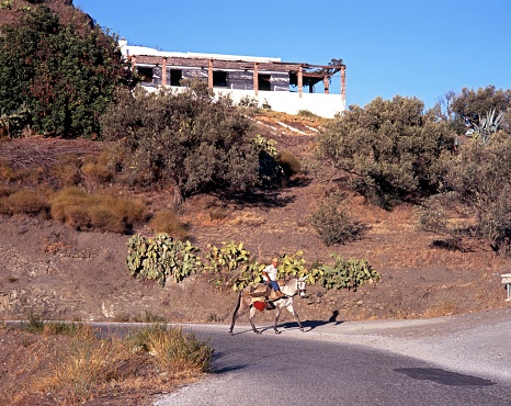 Farmer riding his donkey in the Axarquia hills, Competa, Spain.