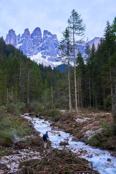 man photographing river with forest and mountain in background near val di funes in south tyrol, north of italy, europe stock photo