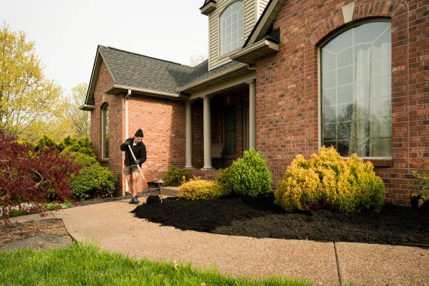 Man replacing mulch in front yard Adult man uses a pitch fork to spread new mulch around bushes in his front yard, carrying out home improvement and spring maintenance during the stay at home orders during Covid-19 pandemic. mulch stock pictures, royalty-free photos & images