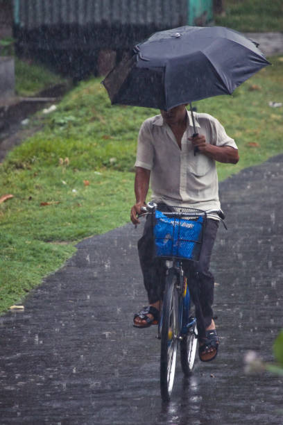 Man riding bicycle in rain with umbrella stock photo