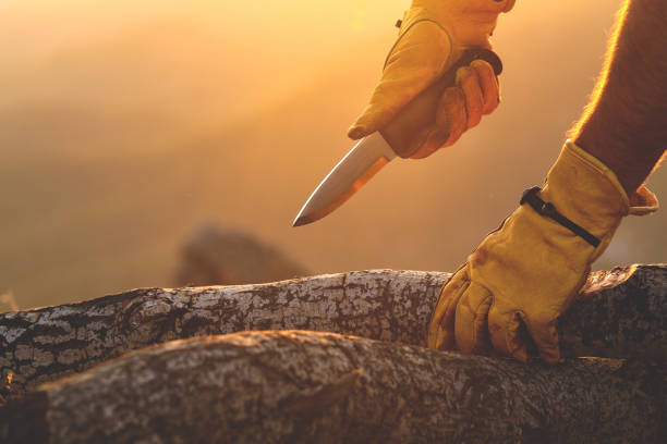 Man sharpens a branch with a knife stock photo