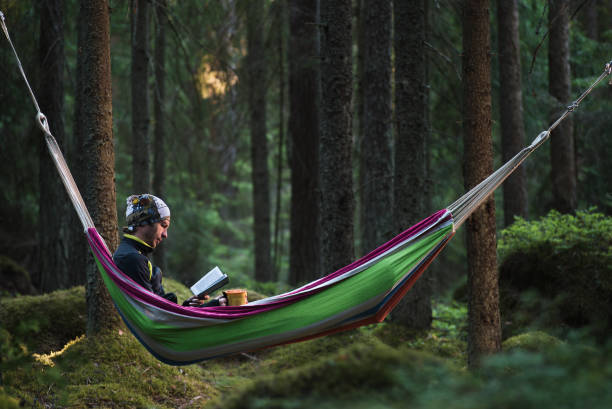 A man sitting in a hammock in a pine forest and reading a book stock photo