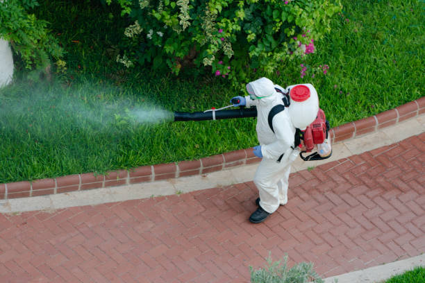 man spraying pesticide on trees in garden worker man spraying pesticide on trees in garden pest stock pictures, royalty-free photos & images