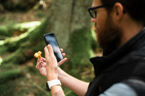 A man is using his smart phone to examine a mushroom he found growing in the wild forest.
