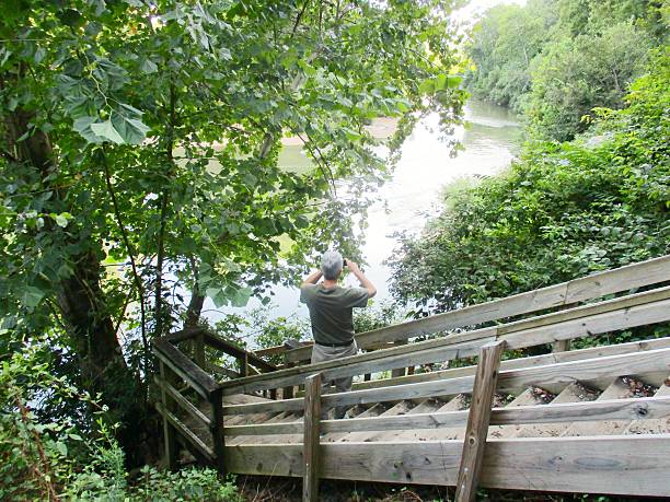 Man Taking Picture of River from Wooden Stairway stock photo