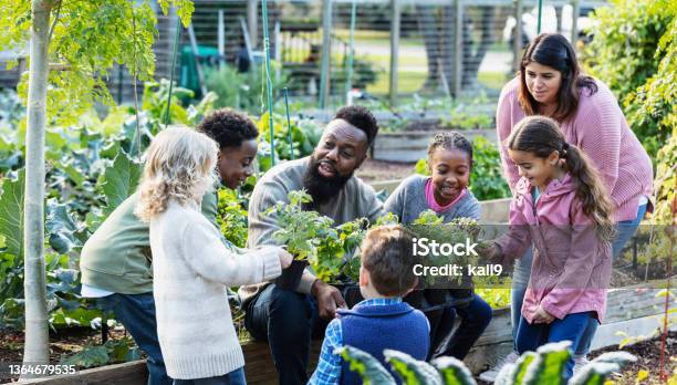 Man teaching children about plants in community garden