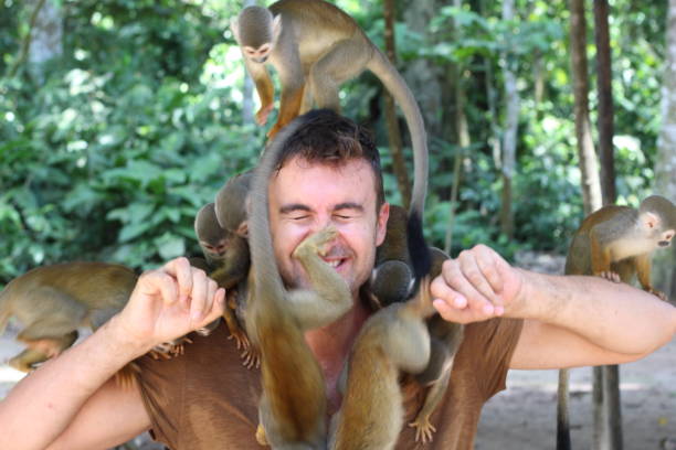 Man training a group of monkeys Man training a group of monkeys. laughing monkey stock pictures, royalty-free photos & images