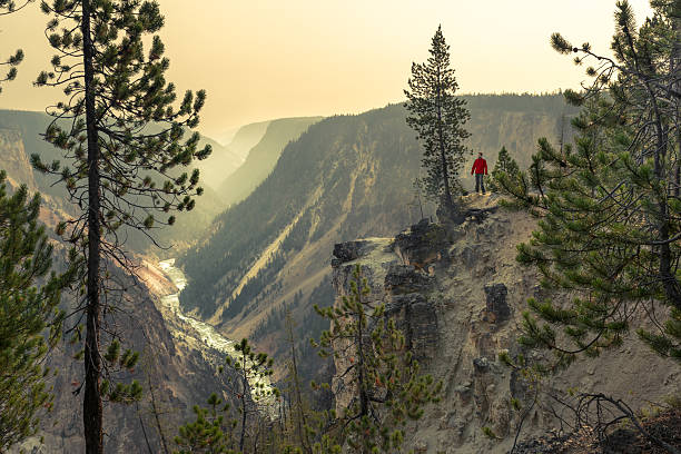 Man trekking by the Grand Canyon of the Yellowstone stock photo
