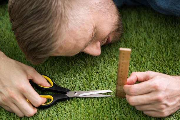 Man Using Measuring Scale While Cutting Grass Close-up Of A Man Cutting Green Grass Measured With Ruler perfection stock pictures, royalty-free photos & images