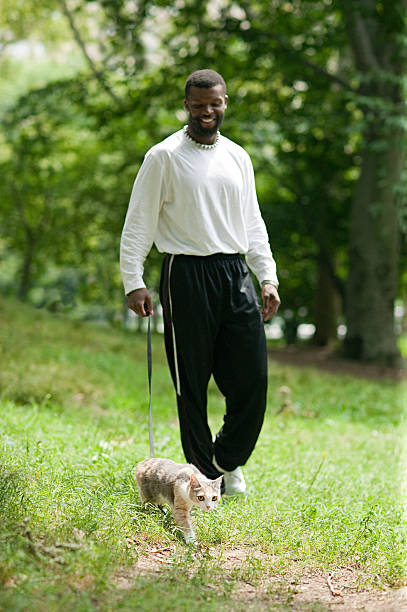 man walking a cat - cat leash bildbanksfoton och bilder