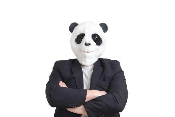 Man wearing a panda mask head and a suit, arms folded, isolated. stock photo