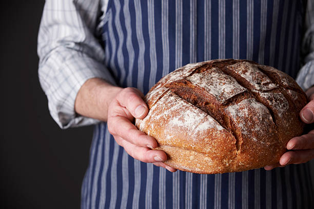 Man Wearing Apron Holding Freshly Baked Loaf Of Bread Illustrates growing popularity of home baking and specialist artisan food products artisanal food and drink stock pictures, royalty-free photos & images