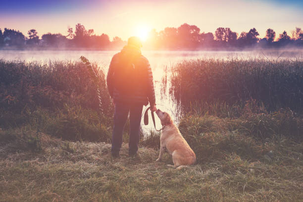 A man with a labrador retriever dog walks in the countryside by the lake on an early autumn morning A man with a labrador retriever dog walks in the countryside by the lake on an early autumn morning early morning dog walk stock pictures, royalty-free photos & images