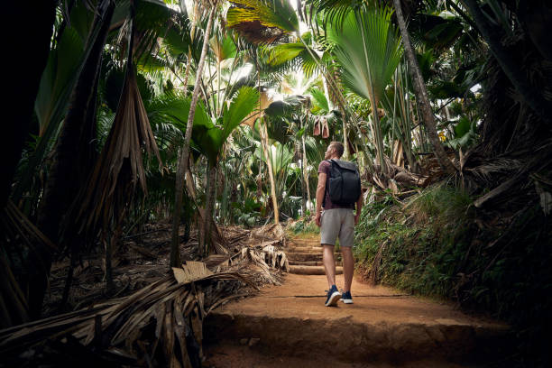 Man with backpack discovering jungle"n stock photo