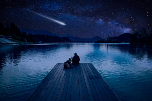 man-with-dog-looking-at-perseids-meteor-shower-at-lake-bled-picture-id1021603114?k=20&m=1021603114&s=612x612&w=0&h=FFDDG0FZL1DdMat3DxvqMRTNfUjYpqK2oJpKquBLYN0=