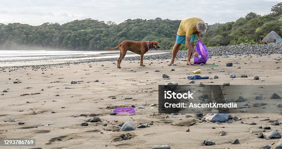 istock Man with dog picks up garbage on beach in the morning 1293786769