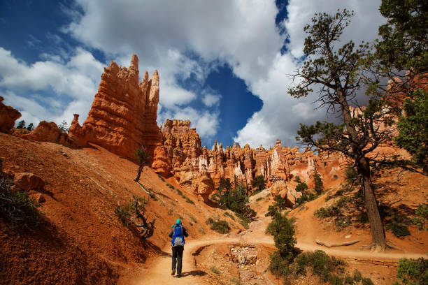 A man with his baby boy are hiking in Bryce canyon National Park, Utah, USA A man with his baby boy are hiking in Bryce canyon National Park, Utah, USA bryce canyon stock pictures, royalty-free photos & images