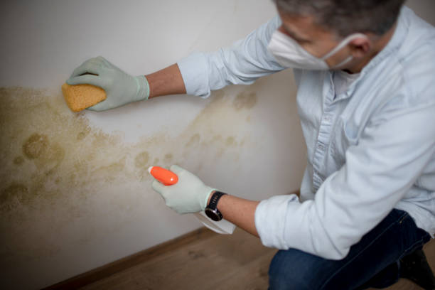 Man with protective mask tries to remove mold on wall stock photo