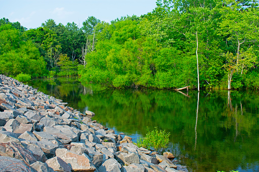 Manasquan Reservoir in Howell, New Jersey, appearing like a scene from an alien world