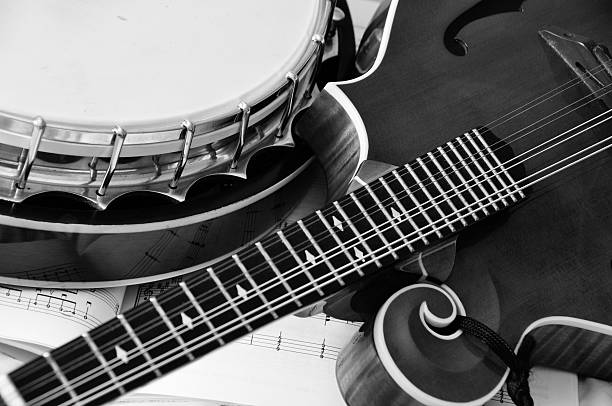 Mandolin and Banjo stock photo
