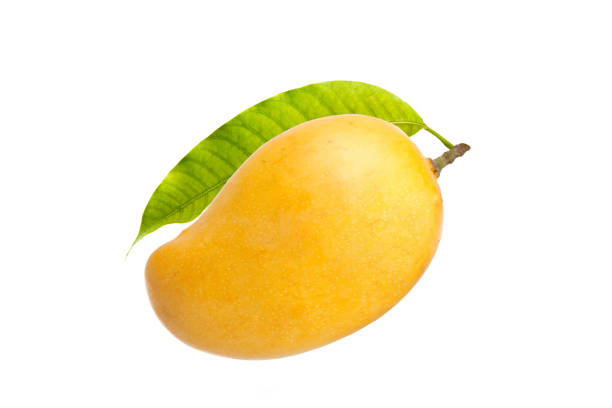 mango und blatt weißen hintergrund isoliert - mango stock-fotos und bilder