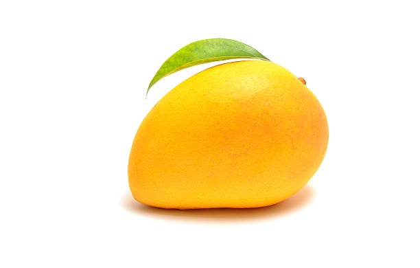 mango auf weißem hintergrund - mango stock-fotos und bilder