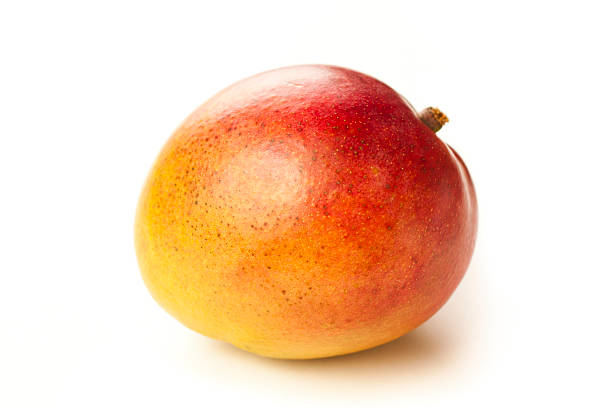mango stock photo