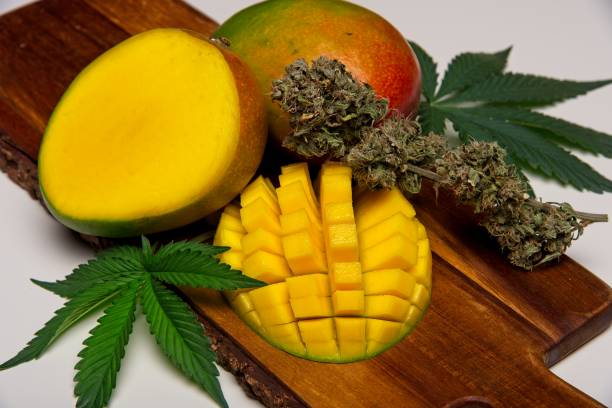 Mangos and cannabis bud and leaves stock photo