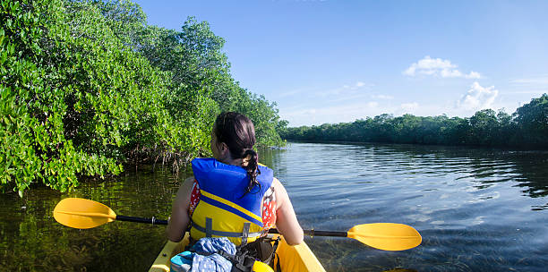 kayakiste de mangrove - kayak mangrove photos et images de collection